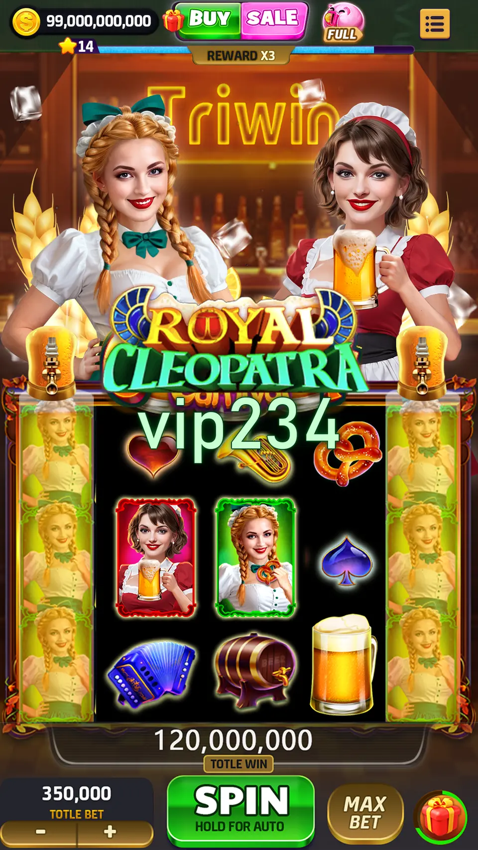 vip234 APK